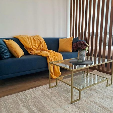 Mountain Breeze Luxury Apartment Ac & Parcare Privata Брашов Екстериор снимка
